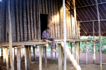 Kaluli Bible Translation
