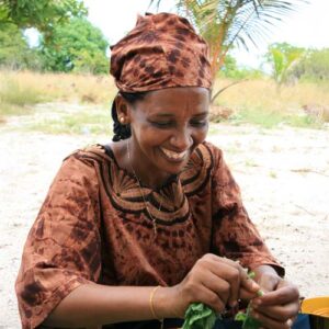 Worldwide Projects Fund