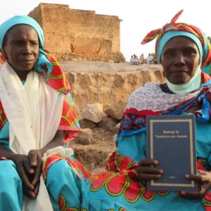 Chad Scripture Access