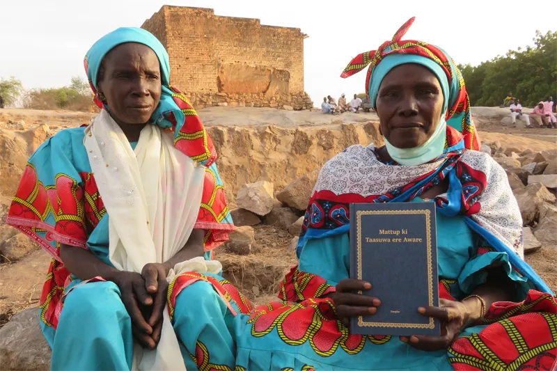 Chad Scripture Access