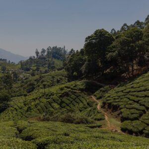 Mainland SE Asia Impact Project
