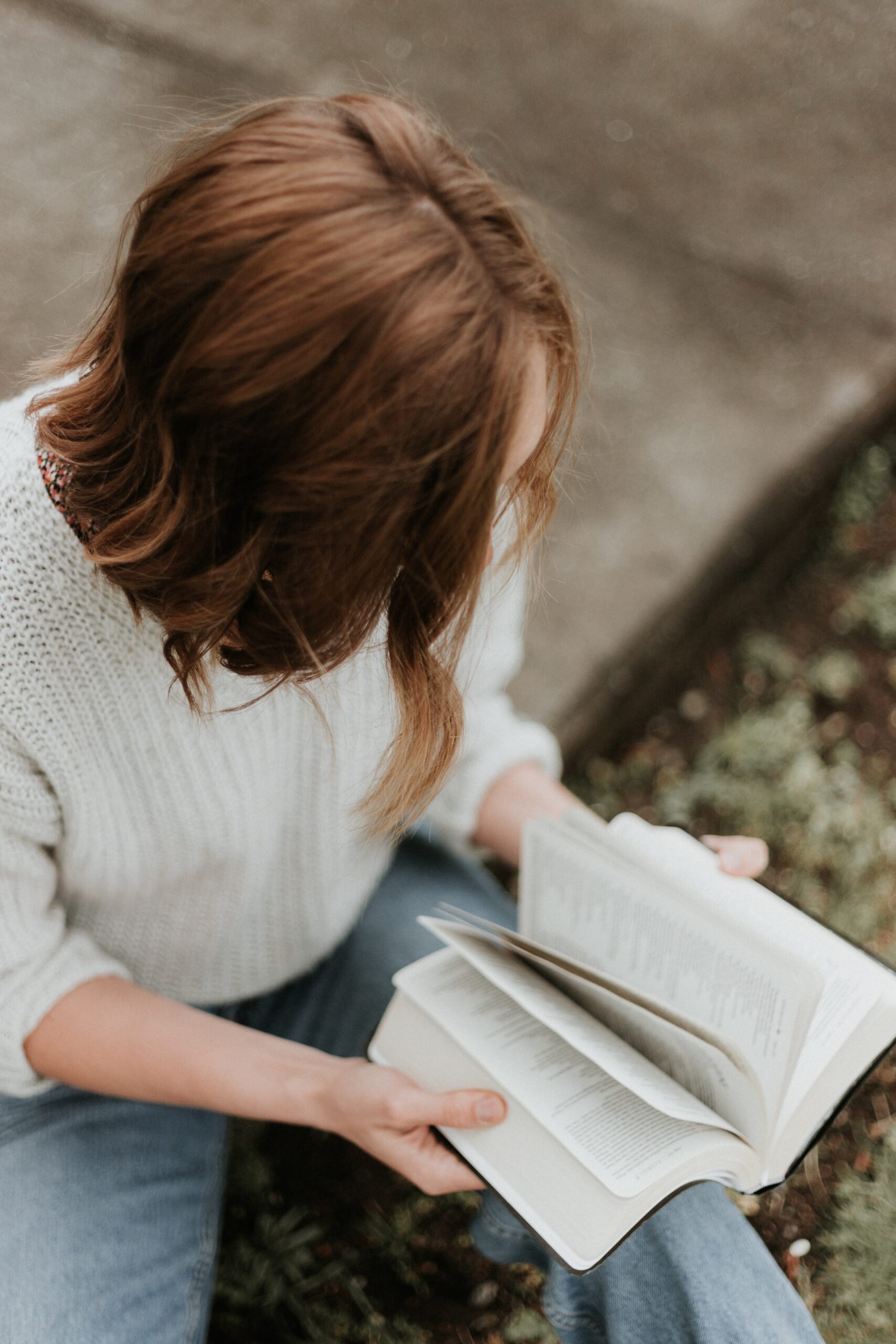Reading Bible Reading Bible