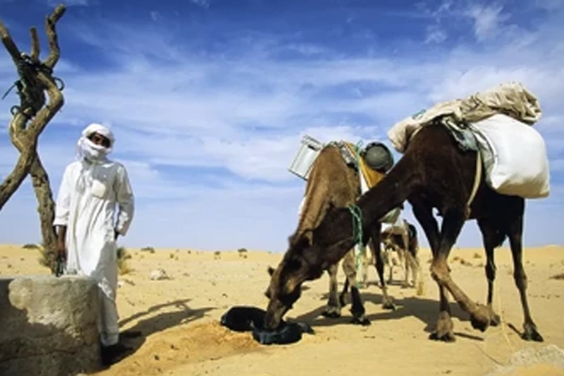 What is church-centric Bible translation? It's reaching Muslims and occult followers