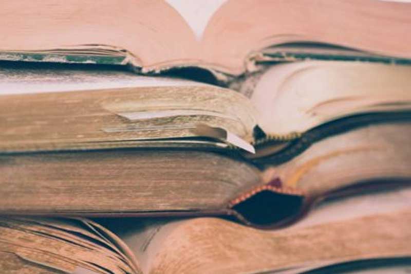 Answering the Call: How Volunteers and Technology Are Transforming Bible Translation