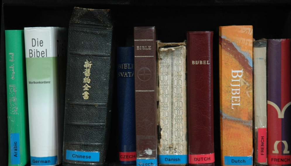 Christian Daily International | Bibles on a bookshelf