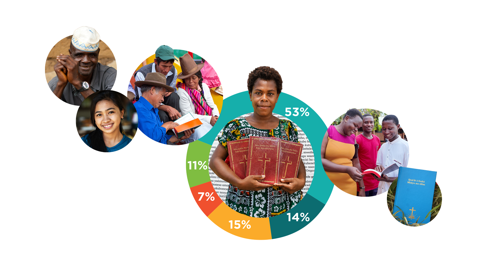 Pie chart with percentages for Bible translation progress.